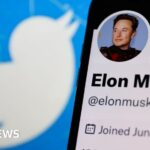 Elon Musk: Time to say goodbye to Twitter bird logo