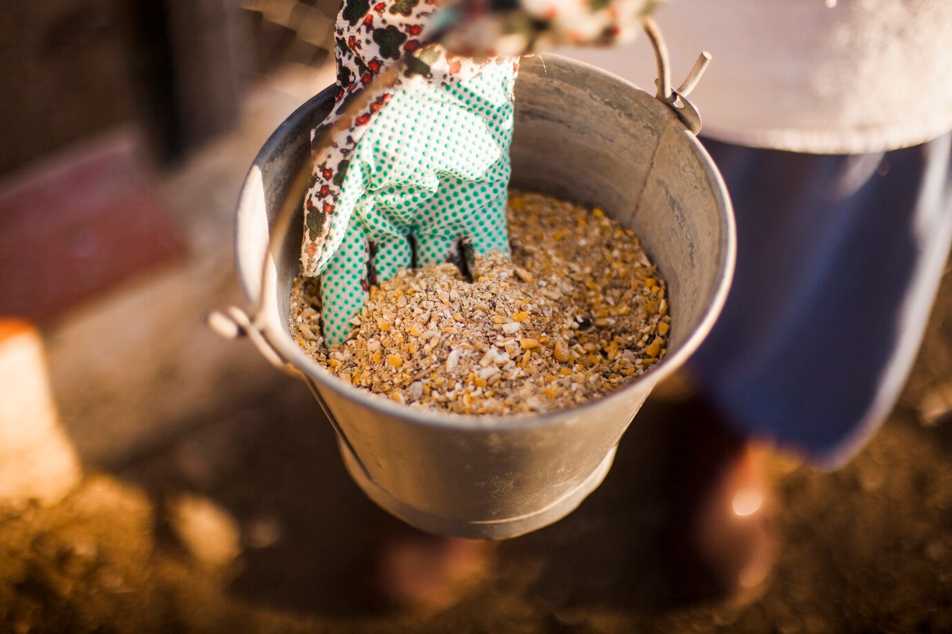 Cattle Feed Market Dubai Business Tour Students Experience